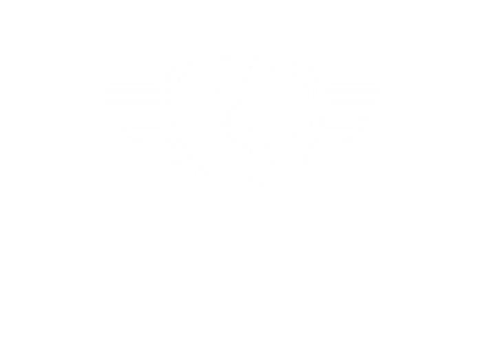 The Car Concierge Group